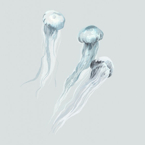 Jellyfish with Flowing Tentacles