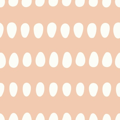 Vzor