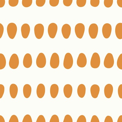 Vzor