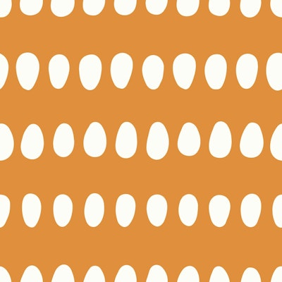 Vzor