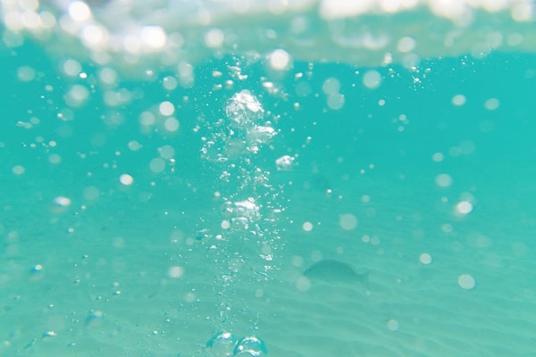 Underwater Caribbean Bubbles Dream 2