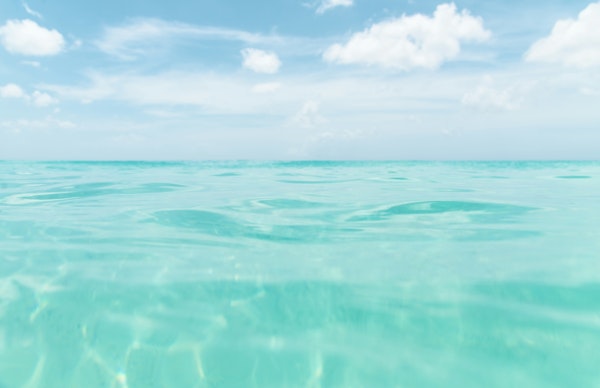 Dive into the Caribbean Sea 2