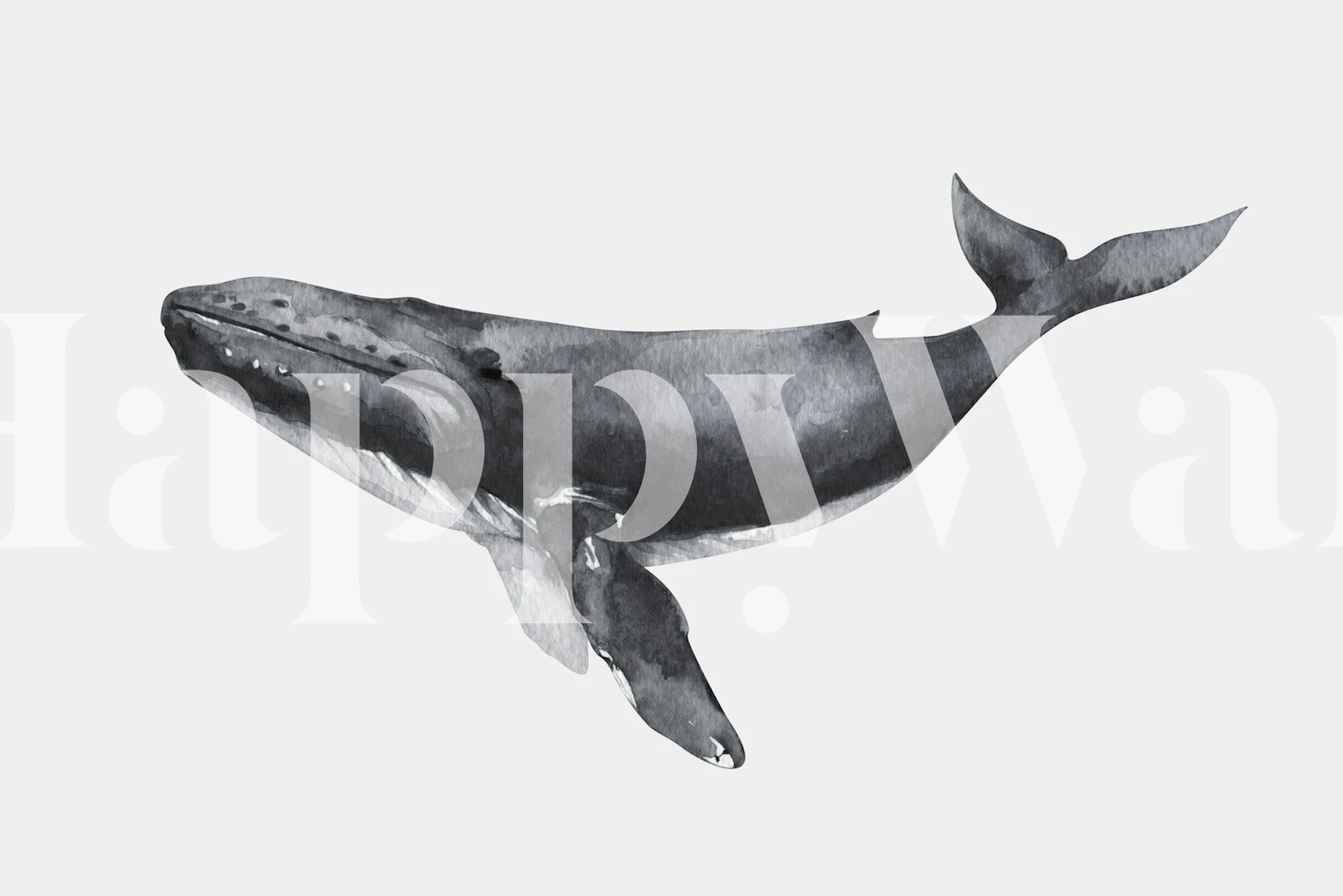 Whale wallpaper in a modern room