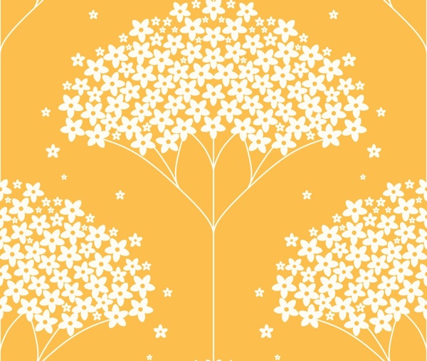 Svenska Fläderblomster