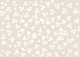 Tiny Daisy White Abstract Cute Flowers