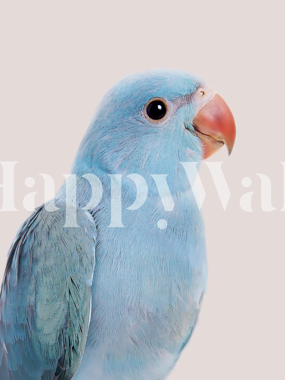 Papel pintado Love Bird en una configuración de habitación