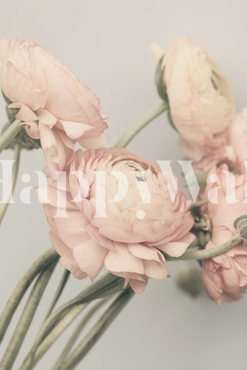 Carta da parati floreale Peach Buttercup in una stanza