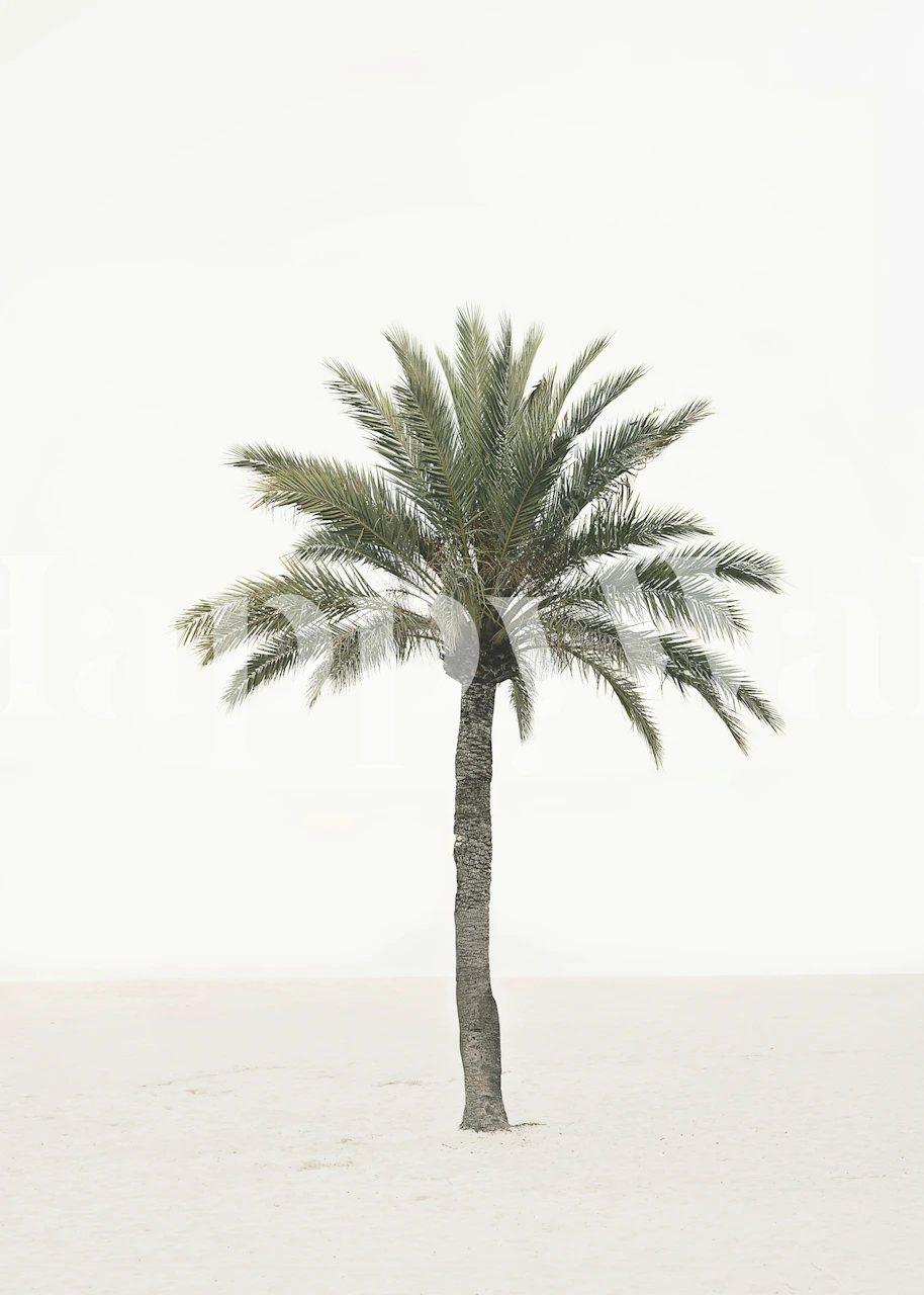 Palm wallpaper in a bright room