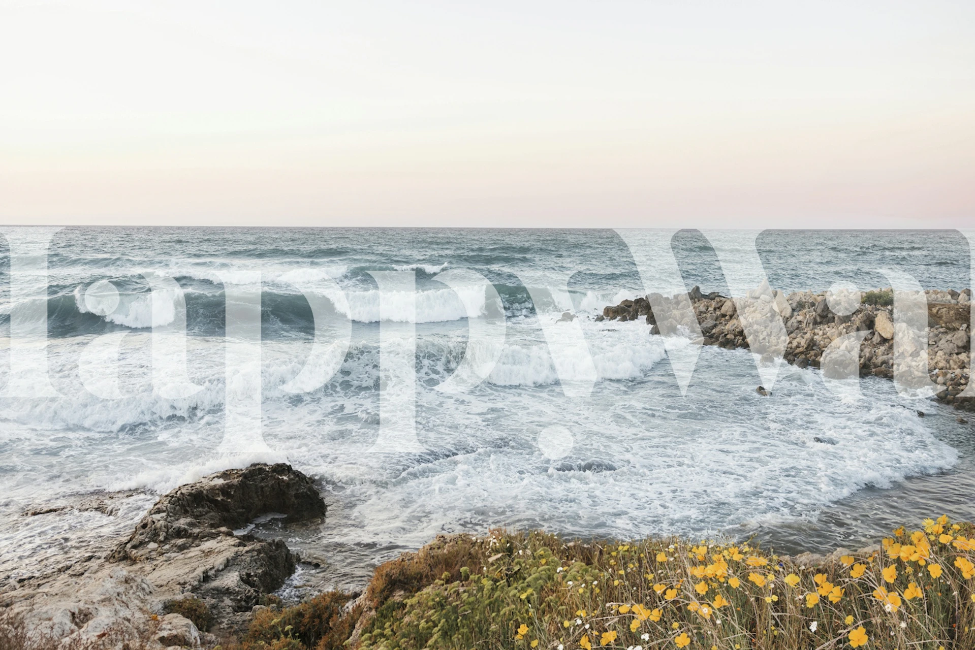 Flowers at the Coast Tapete in einem Raum