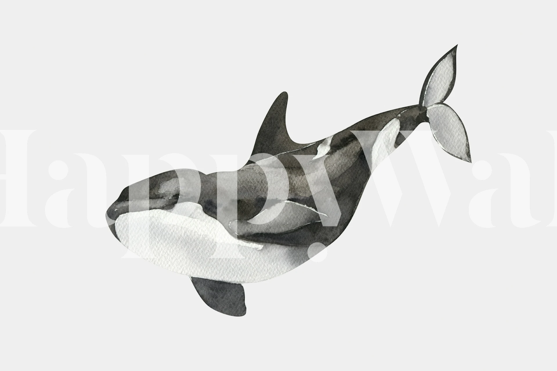 Black and White Orca tapet i ett rum