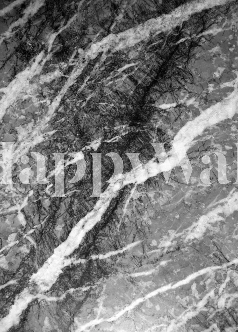 Papel de parede Gray Black Marble Glam na sala