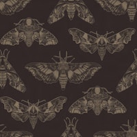 Midnight Moth Dance tapete
