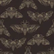 Midnight Moth Dance