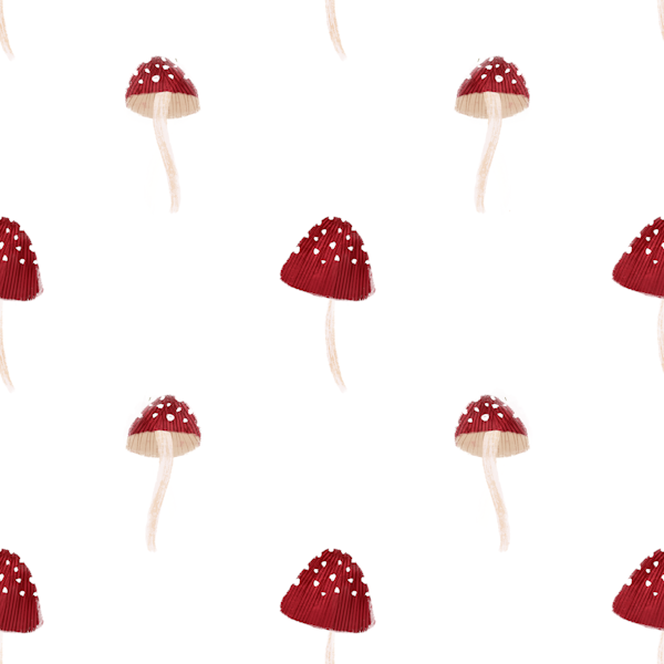 Red Toadstool Delight