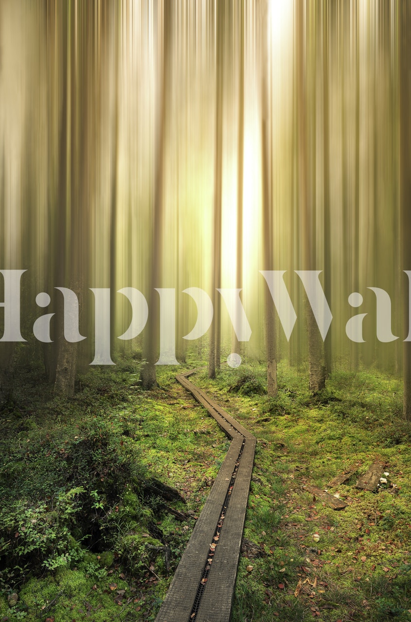 Forest wall mural with sunbeams streaming through trees onto a wooden path