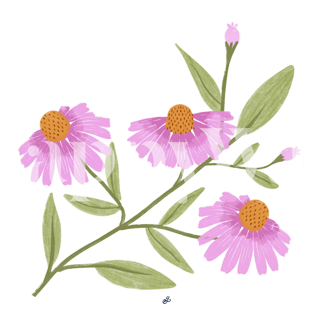 Pink Blooms Delight dizajn tapeta s cvjetnim uzorkom