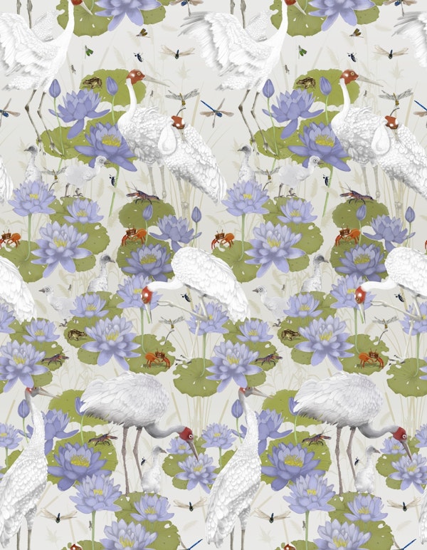 Dance with Me Brolgas