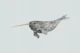 Narwhal with Golden Tusk