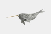 Soft Gray Narwhal behang