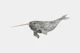 Soft Gray Narwhal