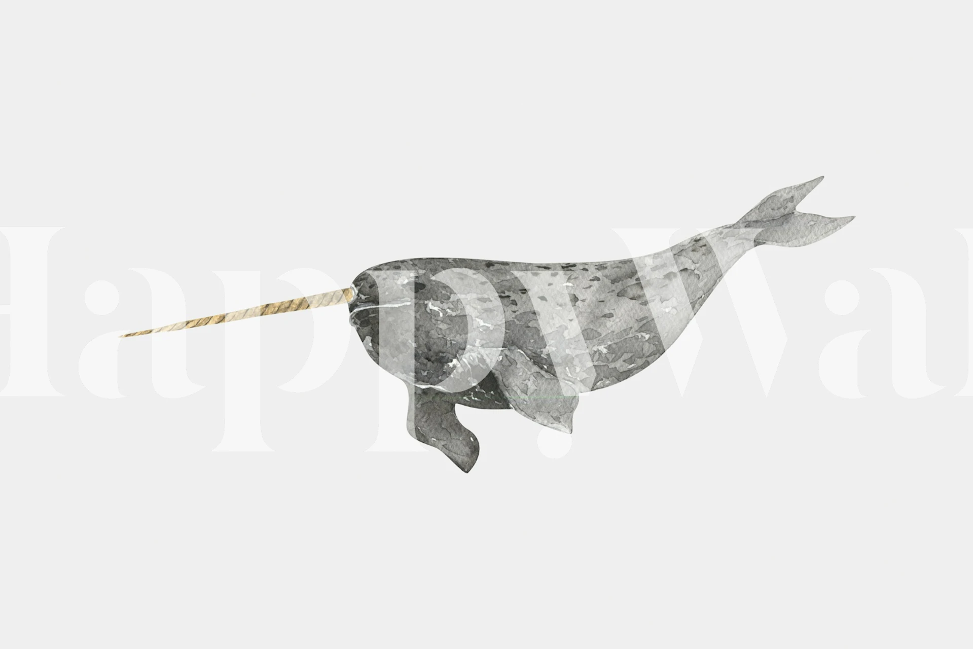 Gray narwhal illustration on a white background wallpaper