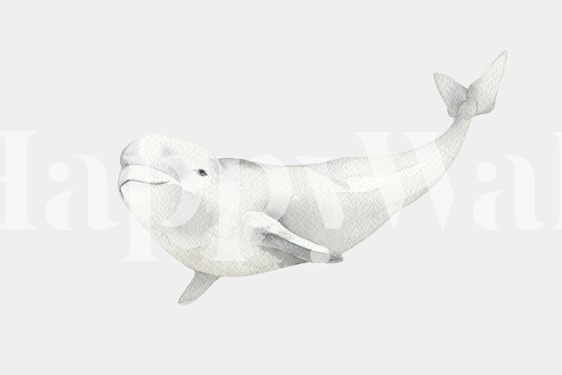 Floating White Beluga wallpaper in a room