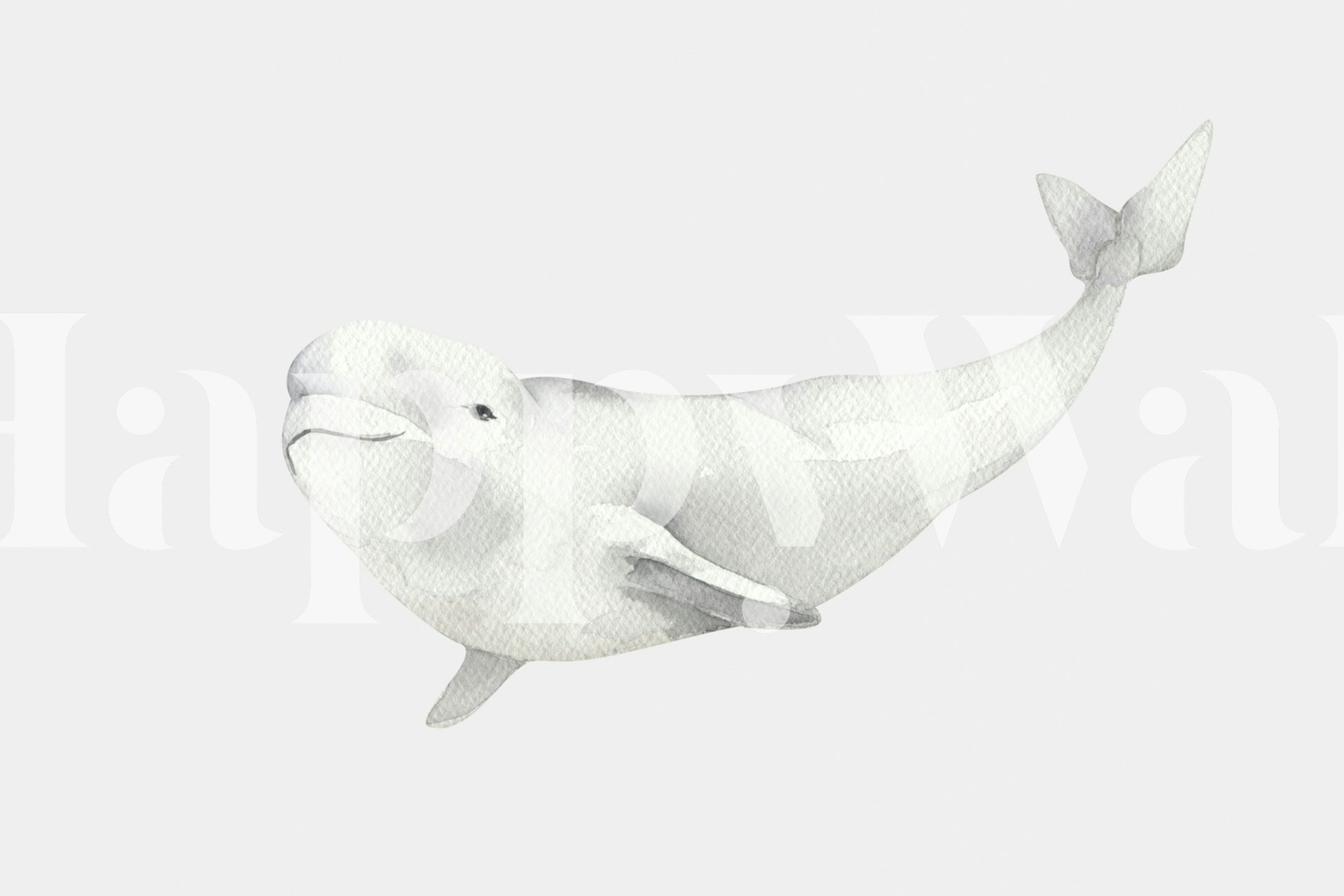 Floating White Beluga tapetti huoneessa