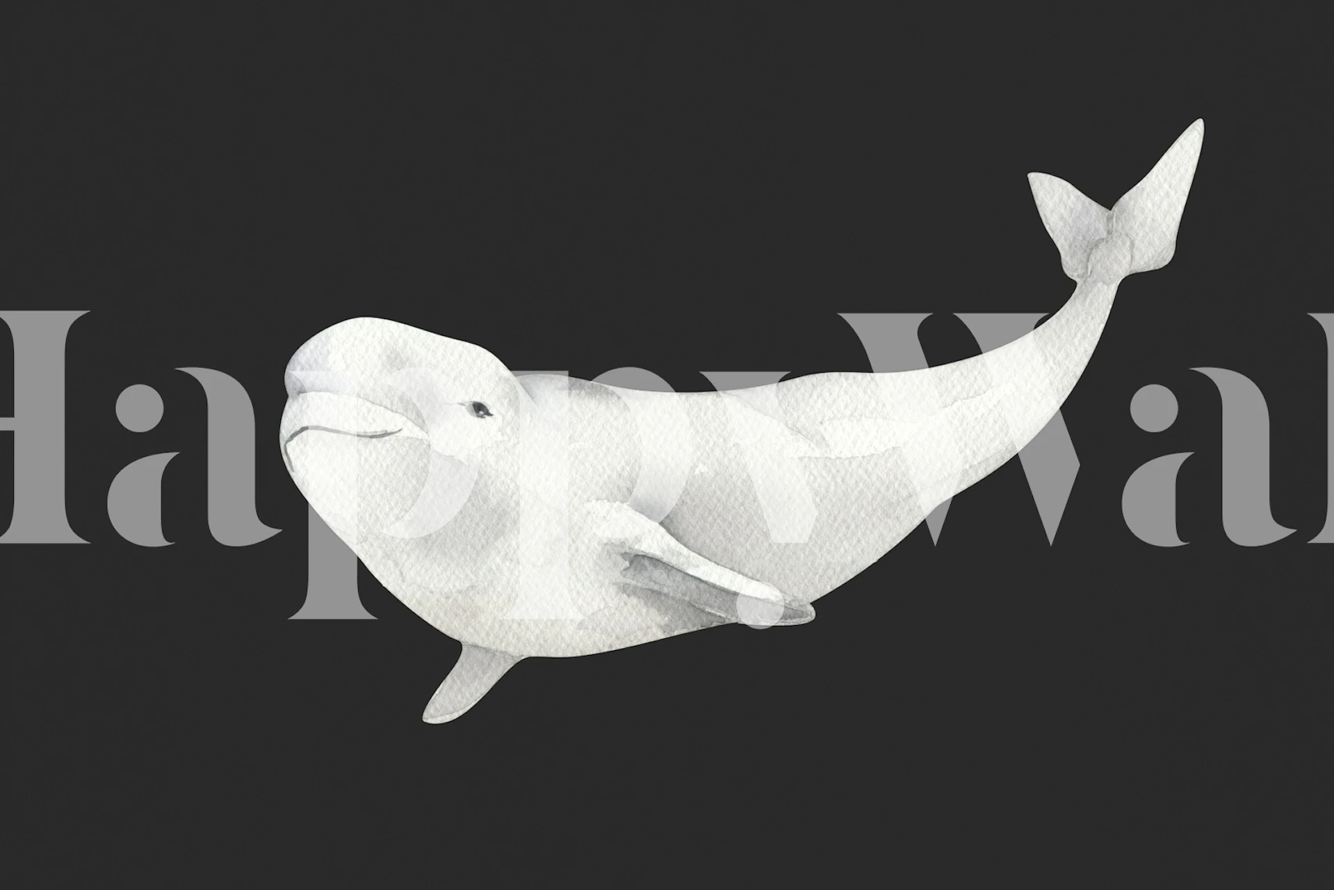 Beluga whale illustration on a dark background wallpaper
