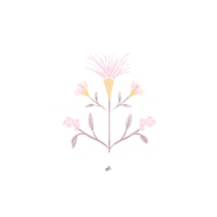 Delicate Floral Art behang