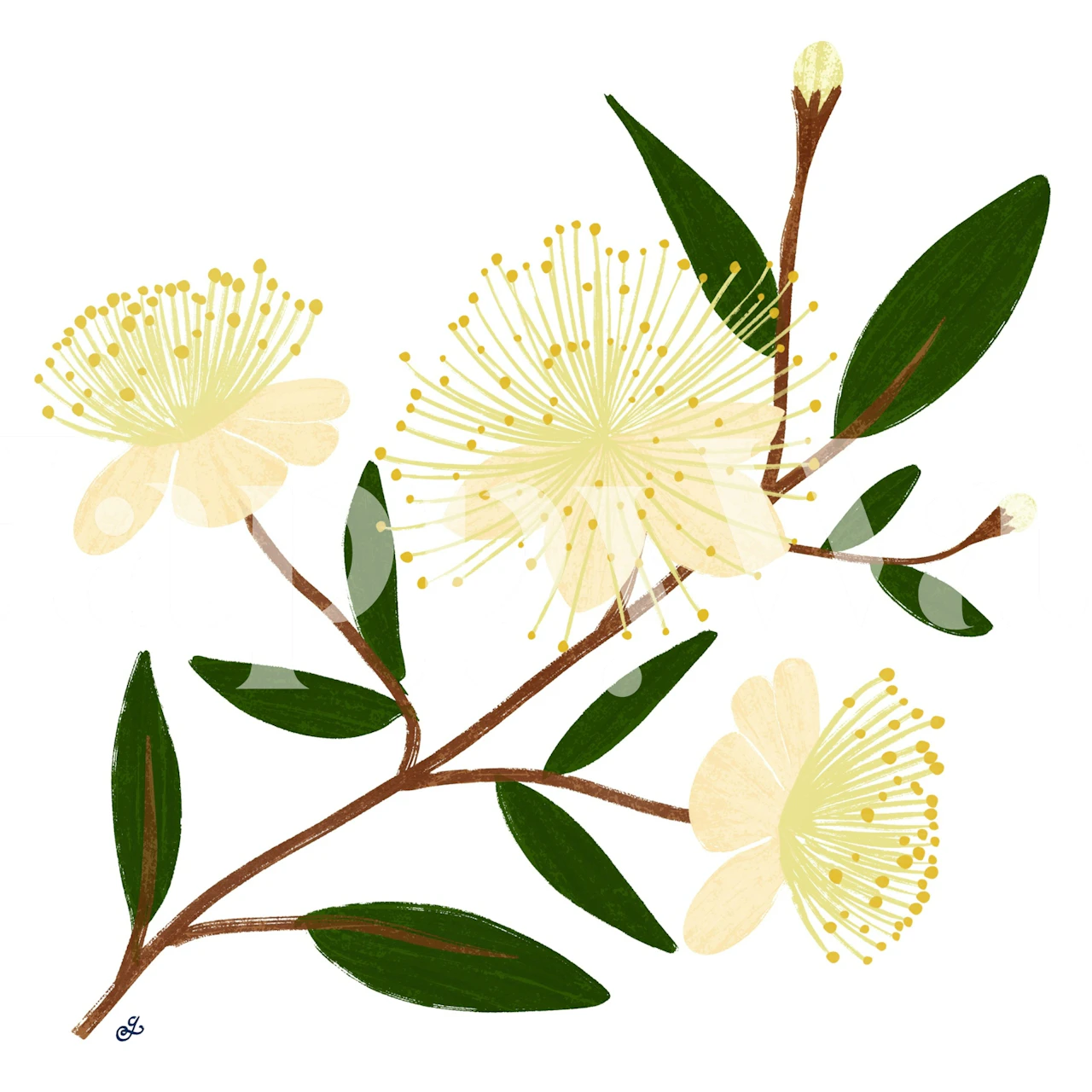 Gul floral tapet i ett mysigt rum