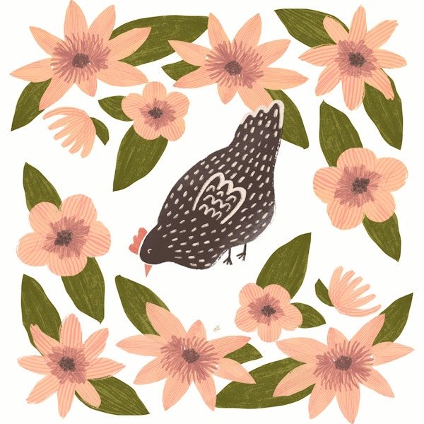 Charming Chicken Florals
