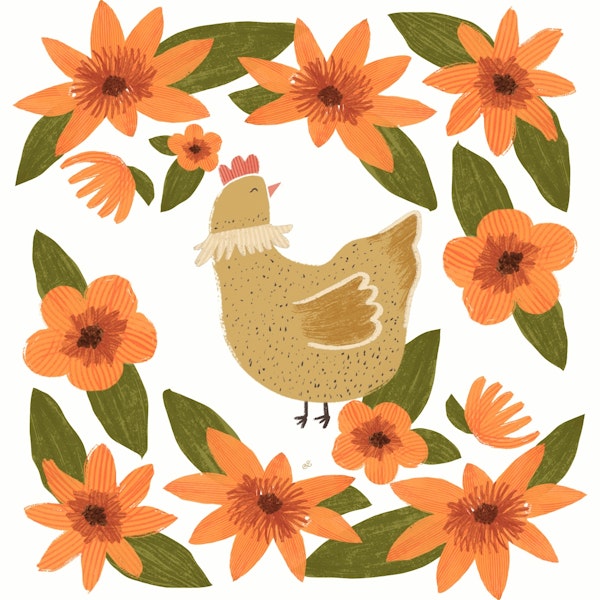 Country Chicken Orange Blooms