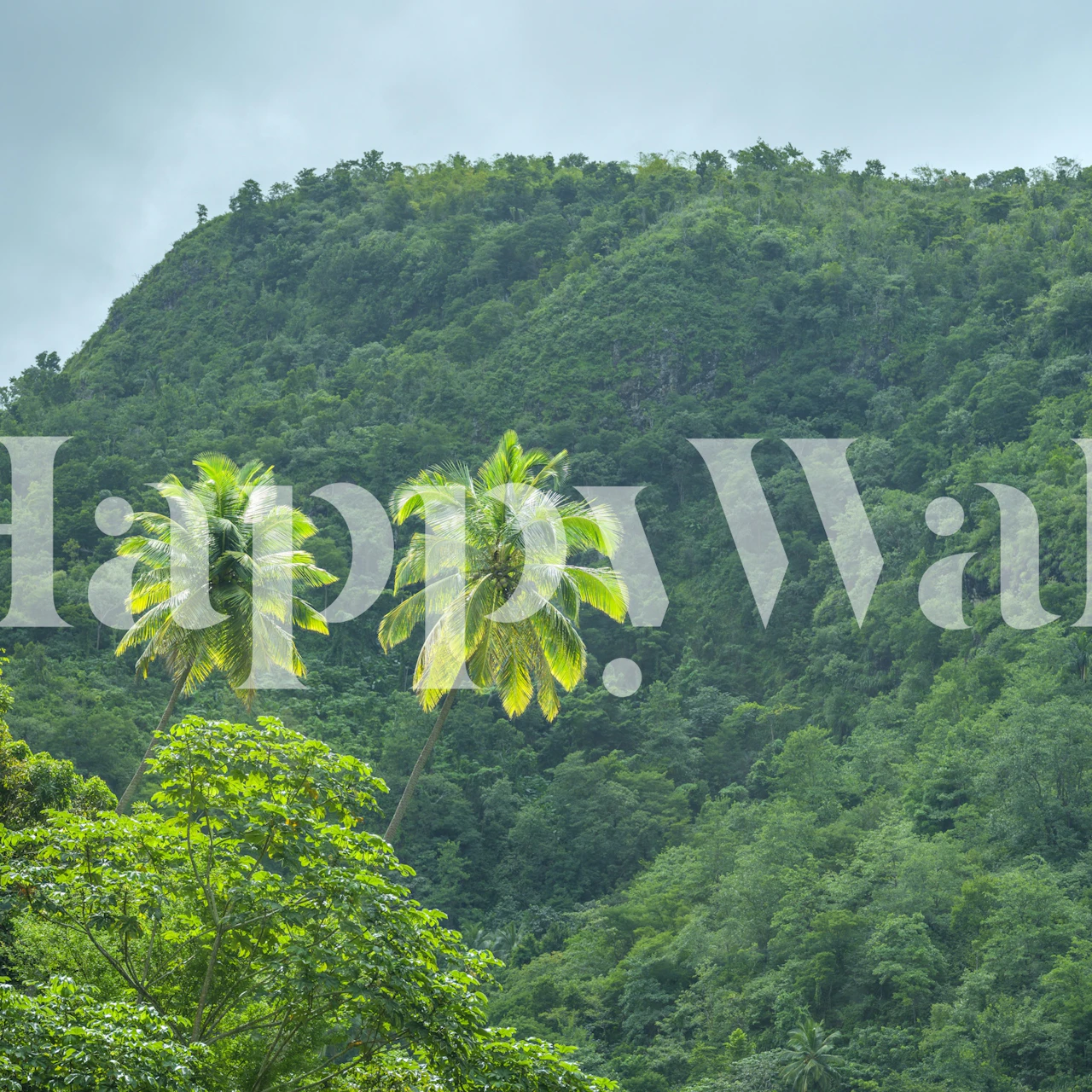 Verdant Hills and Palms behang in een kamer