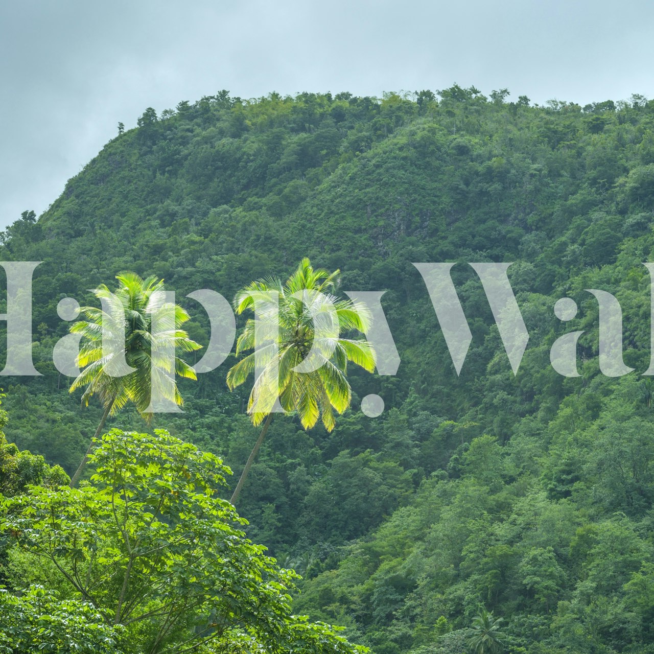 Tapeta Verdant Hills and Palms w pokoju