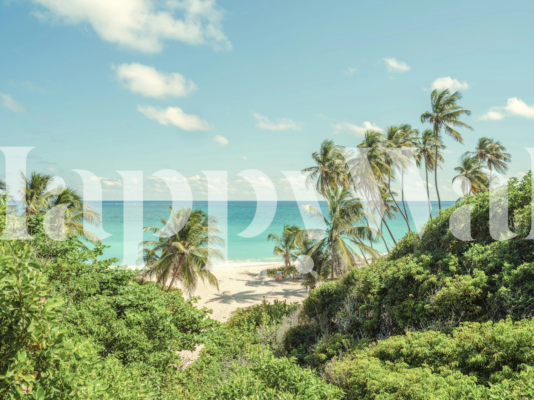 Coastal paradise wallpaper with ocean view