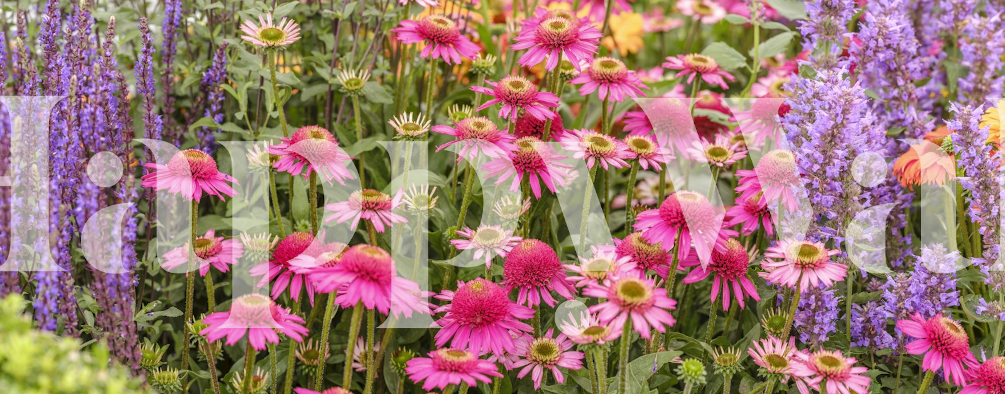 Garden Harmony in Bloom cvjetni wallpaper