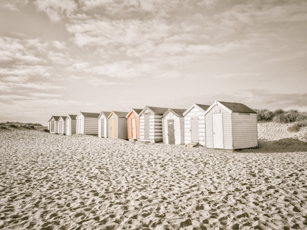 Rustic Shoreline Vibe