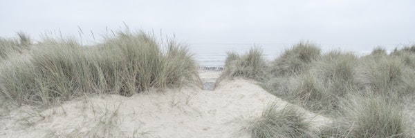 Seaside Dune Harmony