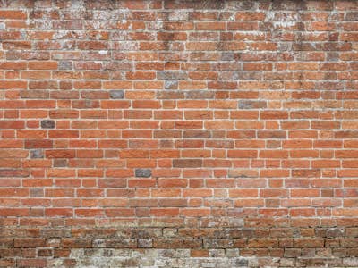 Τοιχογραφία