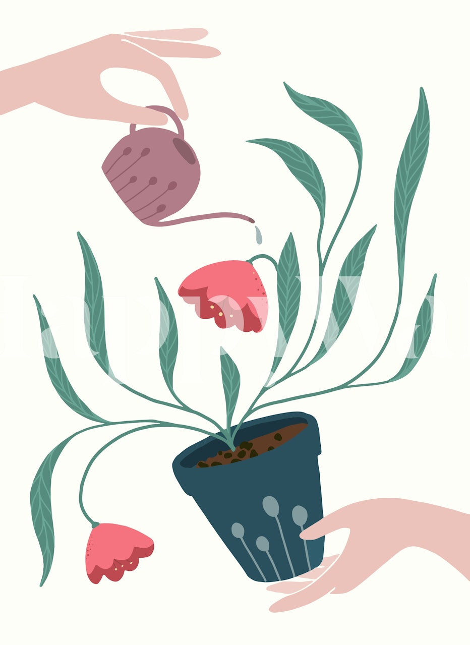 Let´s bloom design de papel de parede floral em um quarto