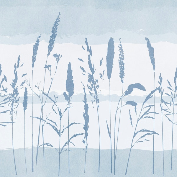 coastal wild grasses