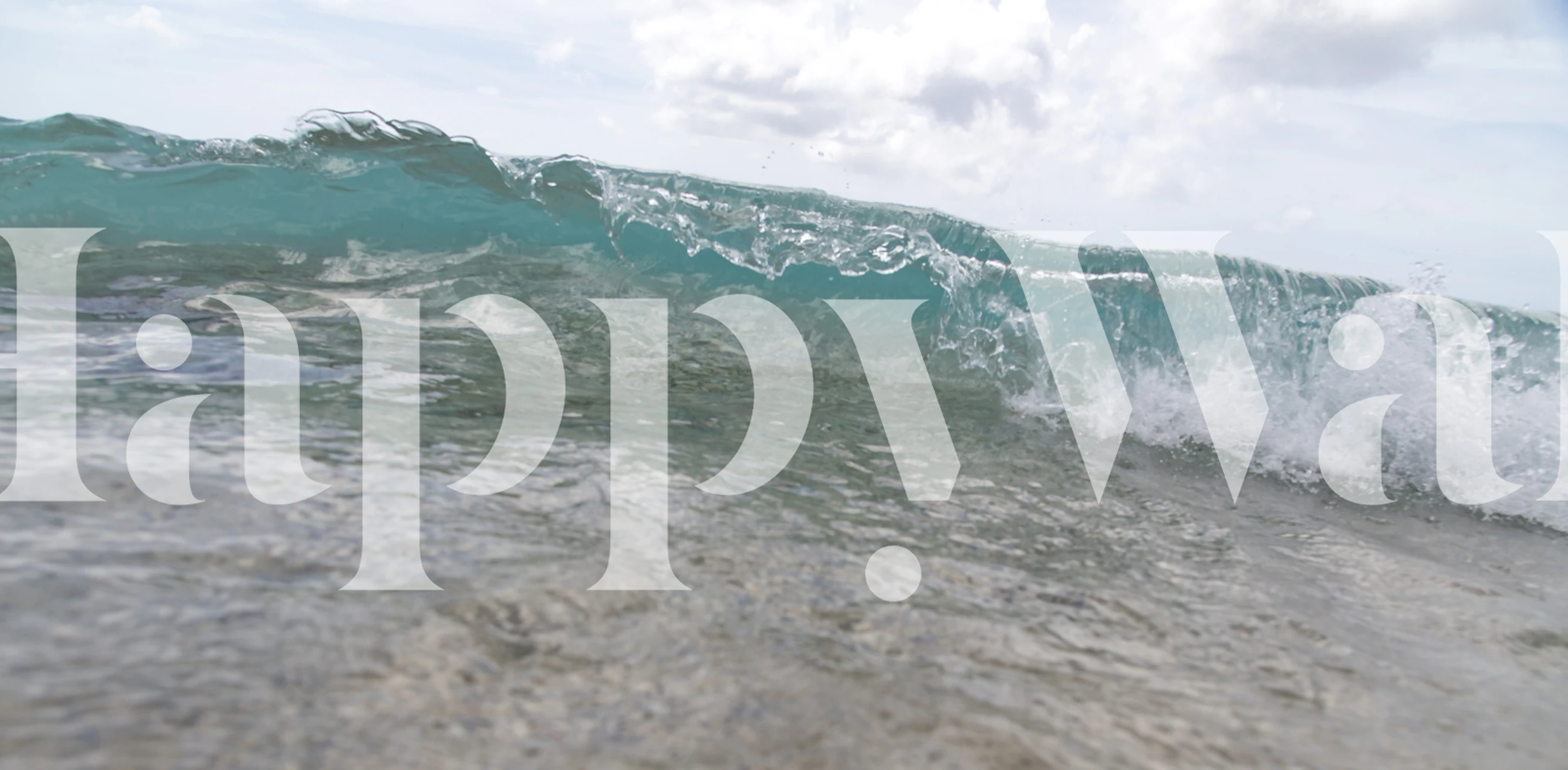 Caribbean Rush 2 wallpaper in a room