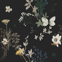 Wild Meadow on Off-Black papiers peint