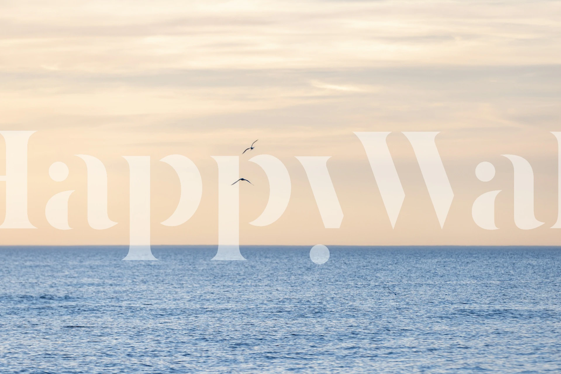 Behang Two Birds Over Calm Sea