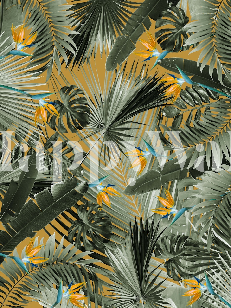 Bird of Paradise Jungle tapet i et rom