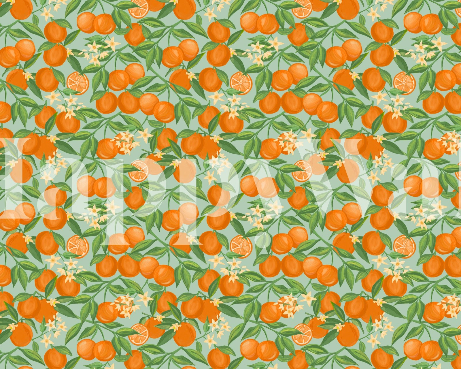 Oranges wallpaper on aqua background in a room