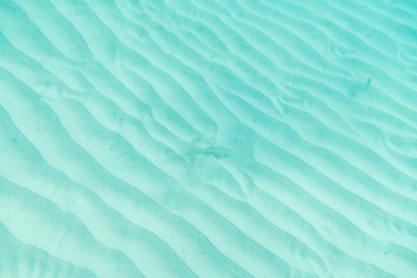 Underwater Caribbean Sea Dream 2