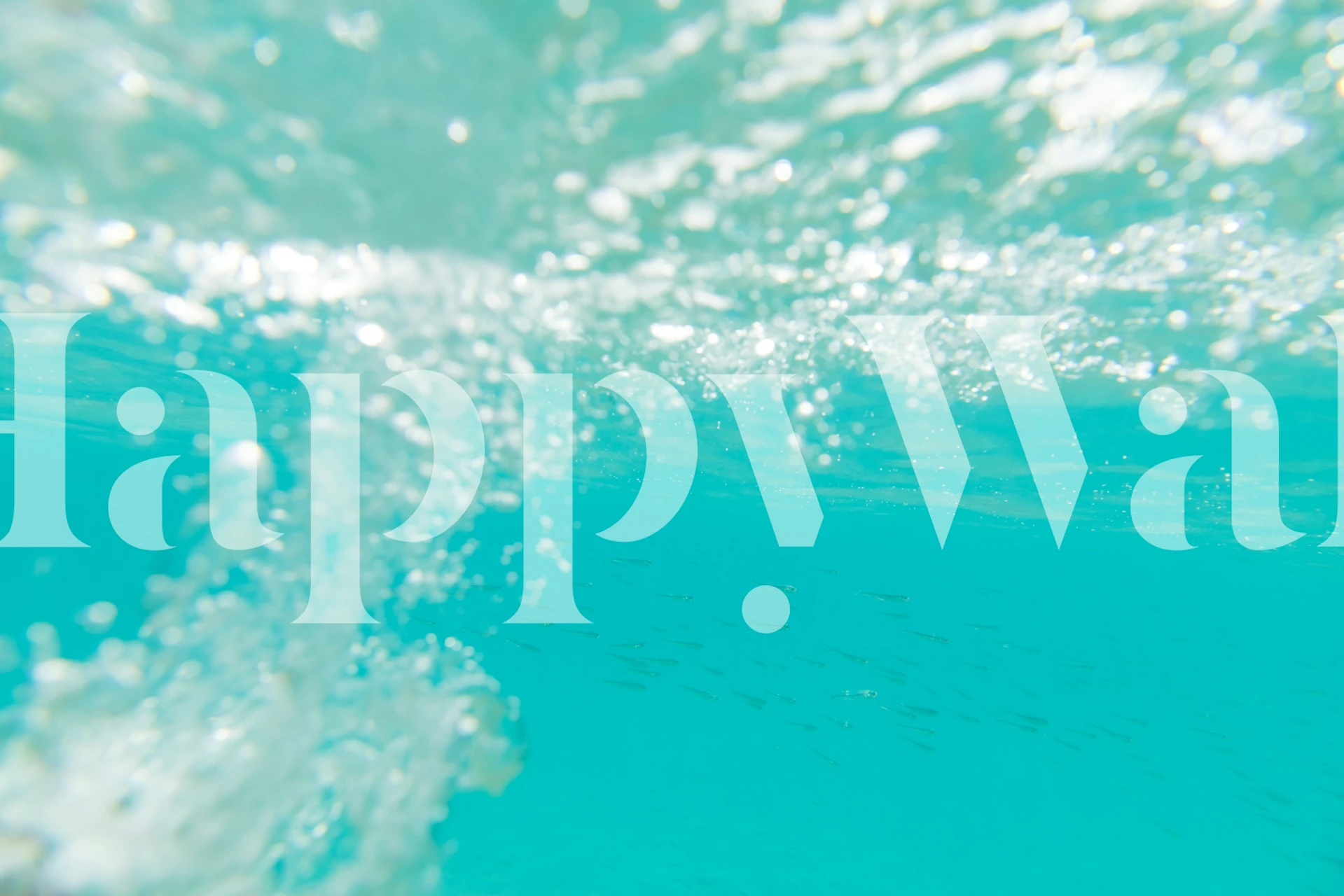 Underwater Caribbean Bubbles Dream Tapete in einem Zimmer