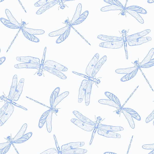 Blue Dragonfly Dreams