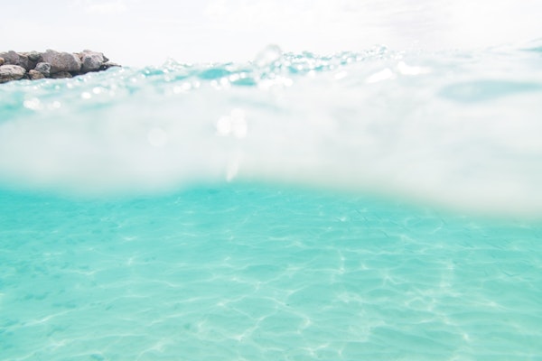 Dreaming in the Caribbean Sea 2